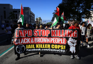 police reform advocates