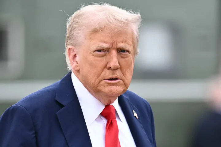 new h1B1 visas