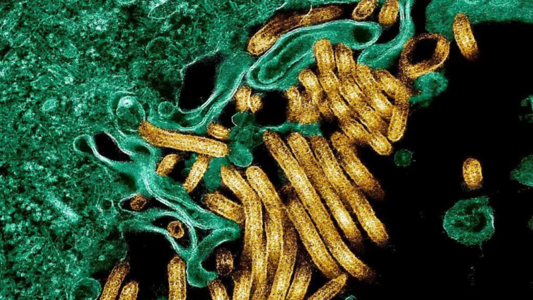 Deadly Ebola outbreak hits DR Congo