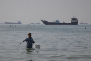 Strait of Hormuz