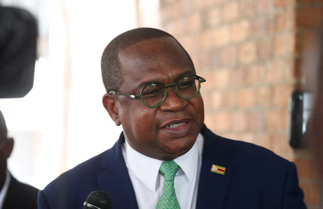 Zimbabwe Eyes Mineral-Backed Financing