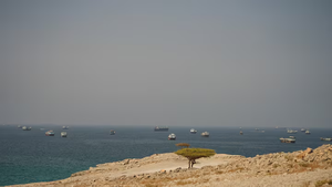 Iran U.S. Gulf strikes